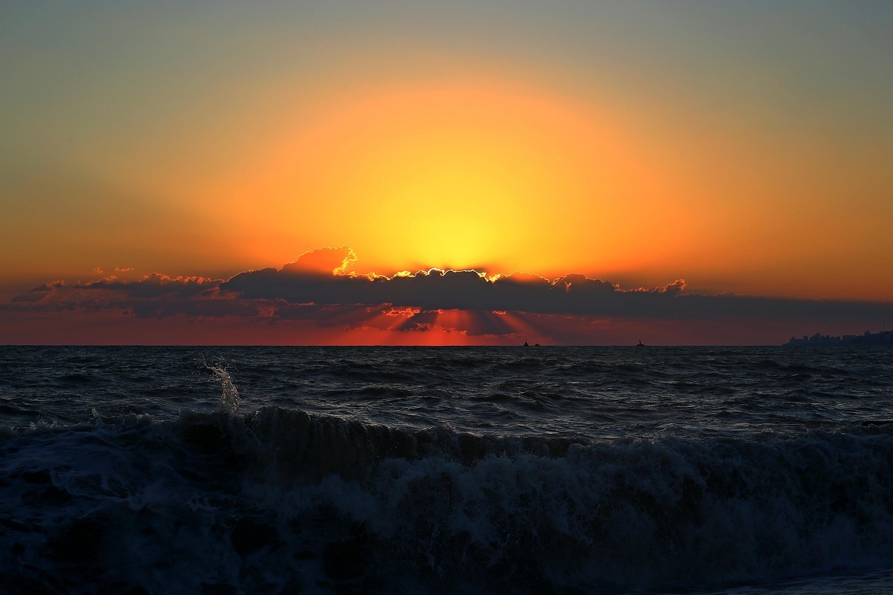 暮光之城女主最新動(dòng)態(tài)，閃耀星辰的更新揭秘