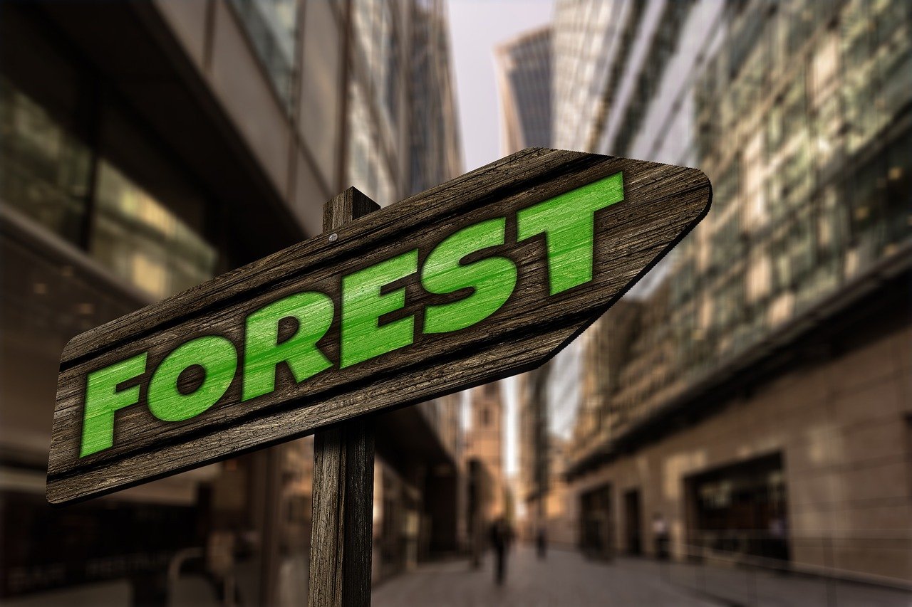 最新567彩票app下載體驗(yàn)，探索最新版本的功能與優(yōu)勢