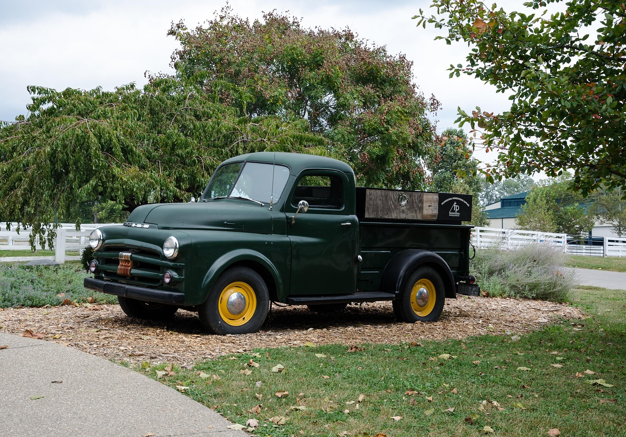 大興區(qū)蘆東路最新動(dòng)態(tài)，發(fā)展進(jìn)展與未來(lái)展望