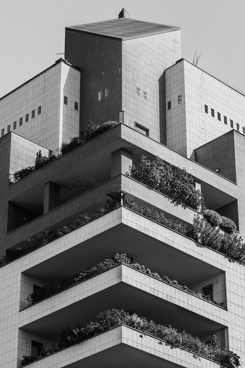 秦漢大道二期最新動態(tài)，建設(shè)進展及未來展望