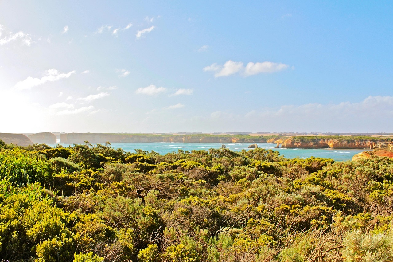 水洛鎮(zhèn)崖王村最新動態(tài)更新，最新消息匯總
