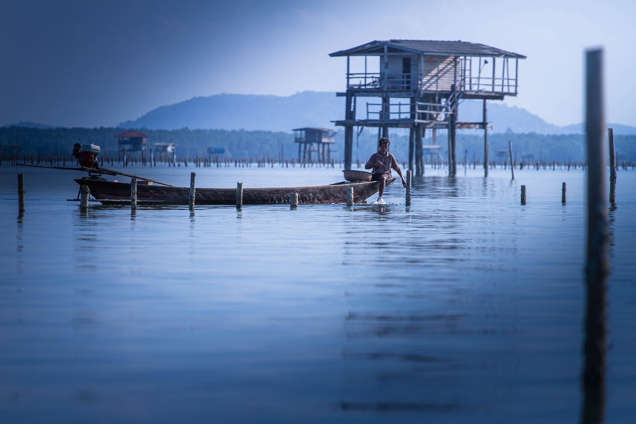 林丹與謝杏芳的最新動態(tài)，賽場之外的生活點滴揭秘