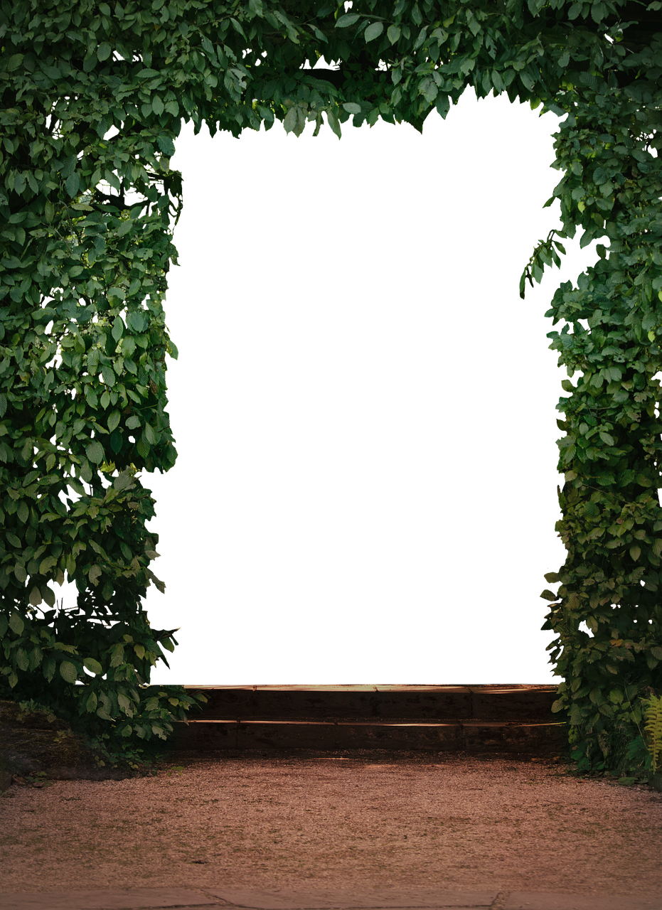 南湖公園二期最新動(dòng)態(tài)，綠色明珠的未來(lái)展望