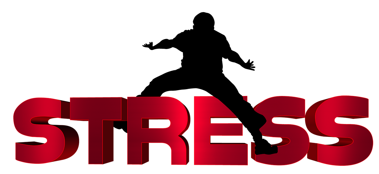 齊河二手車最新信息概覽，最新動態(tài)一網(wǎng)打盡