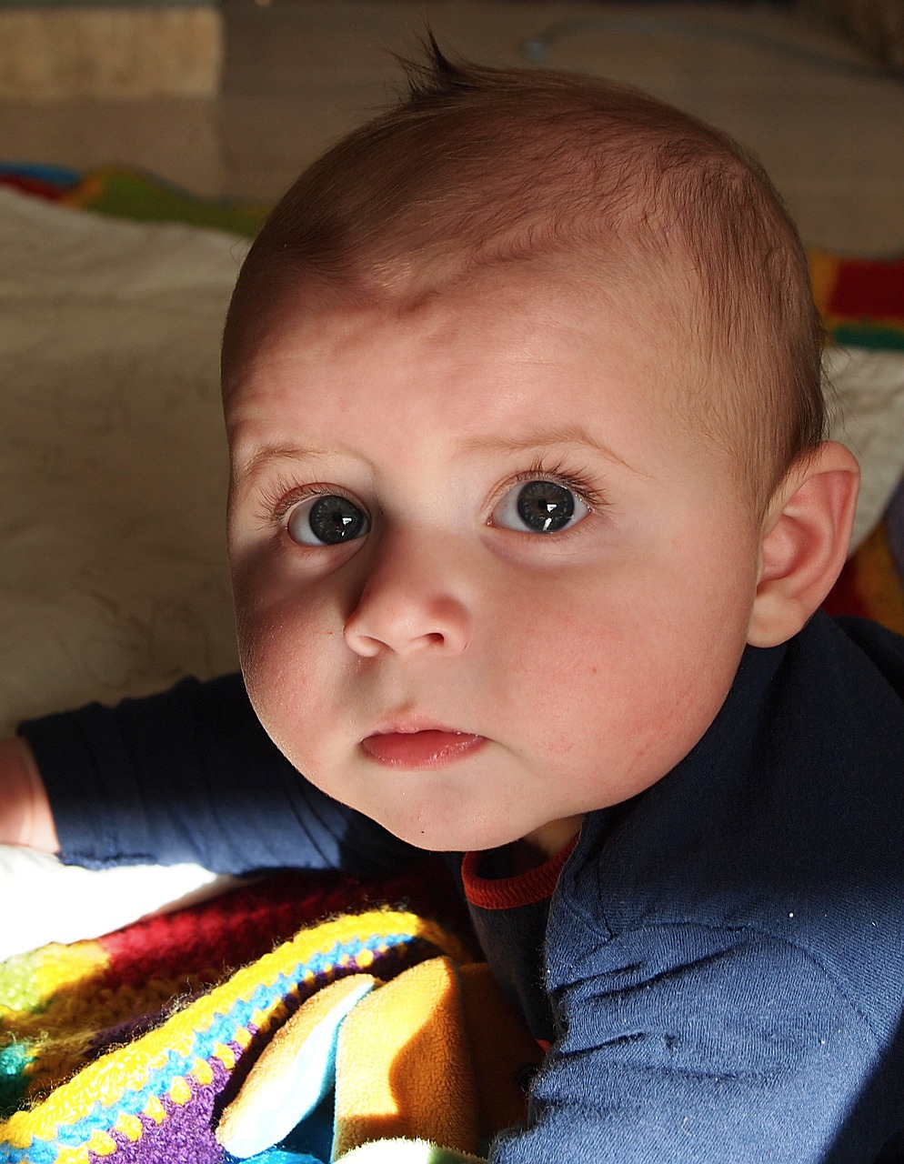 吳立勝與秦飛最新消息綜述，揭秘二人的最新動態(tài)