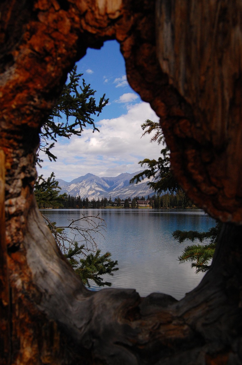 馬蓉最新動態(tài)與反思，風(fēng)波中心的最新消息聚焦點(diǎn)