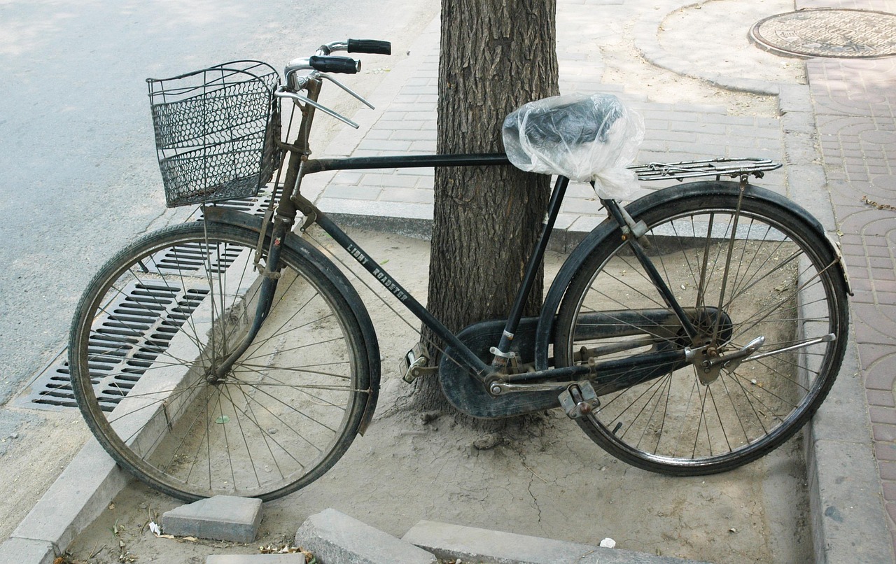 云商之家最新動態(tài)，張健引領(lǐng)變革之路