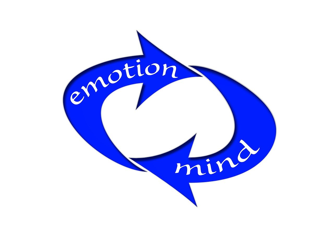 諾德股份借殼新動態(tài)，企業(yè)轉(zhuǎn)型與資本市場融合迎新機遇