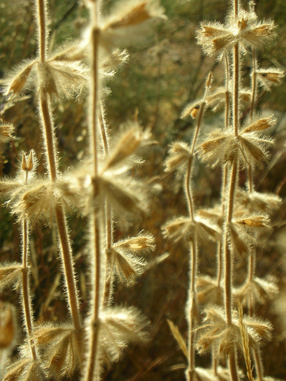 今日陽(yáng)光M1最新動(dòng)態(tài)，開(kāi)啟電動(dòng)智能出行新篇章