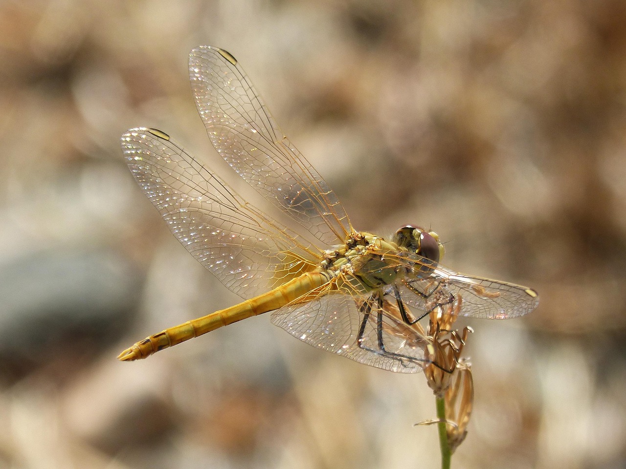 響水零距離網最新動態(tài)更新