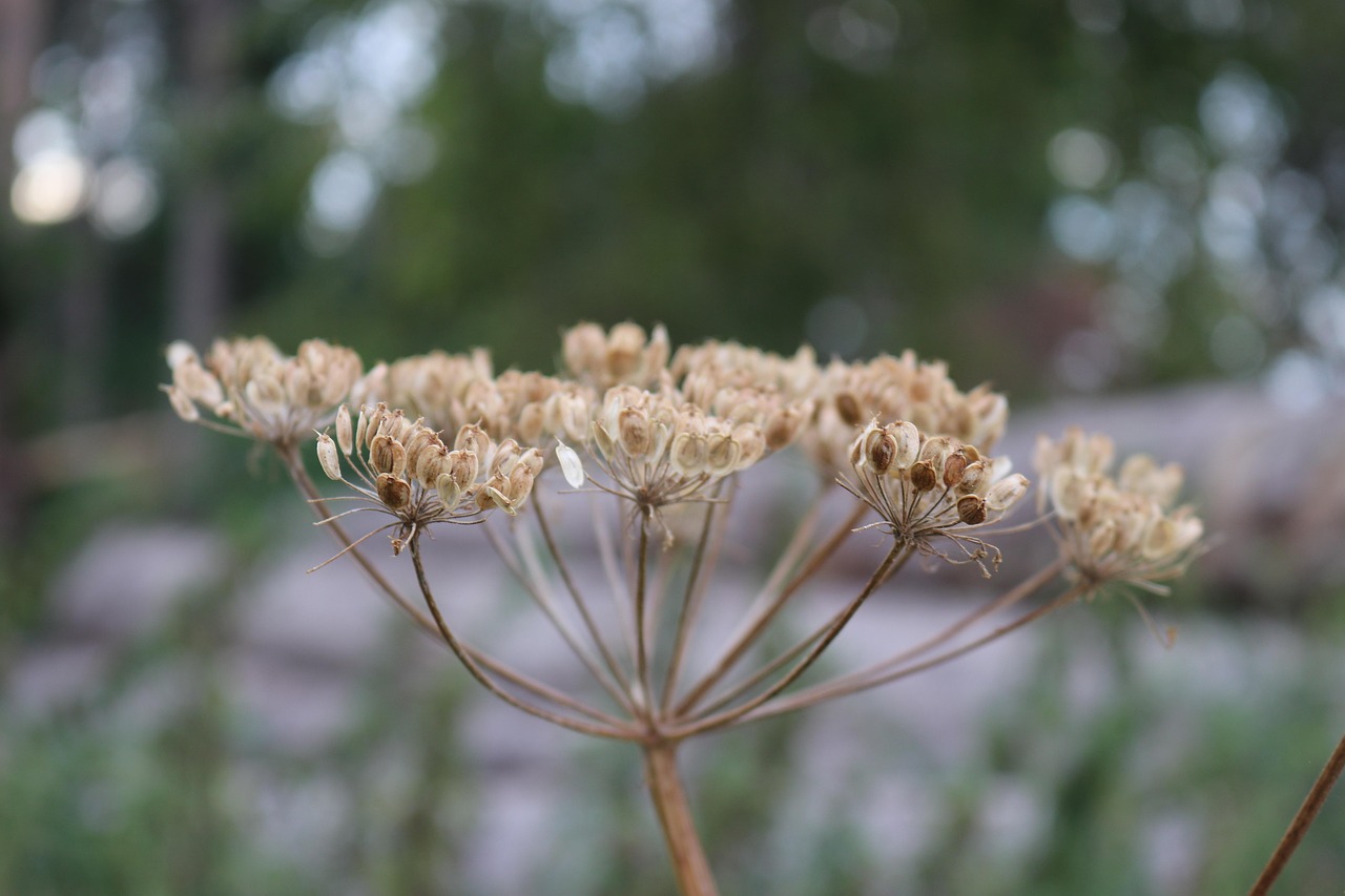 中源協和停牌最新消息全面解析與動態(tài)關注