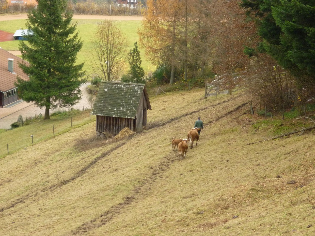 QQ農(nóng)牧場偷匪最新版，開啟游戲樂趣與挑戰(zhàn)的新篇章