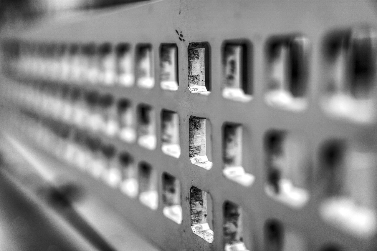 鄭萬(wàn)高鐵云陽(yáng)最新動(dòng)態(tài)更新