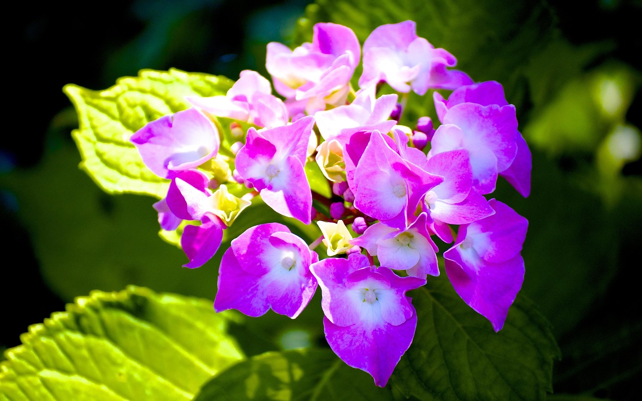 李景文將軍的最新動(dòng)態(tài)，軍事生涯與卓越貢獻(xiàn)概述