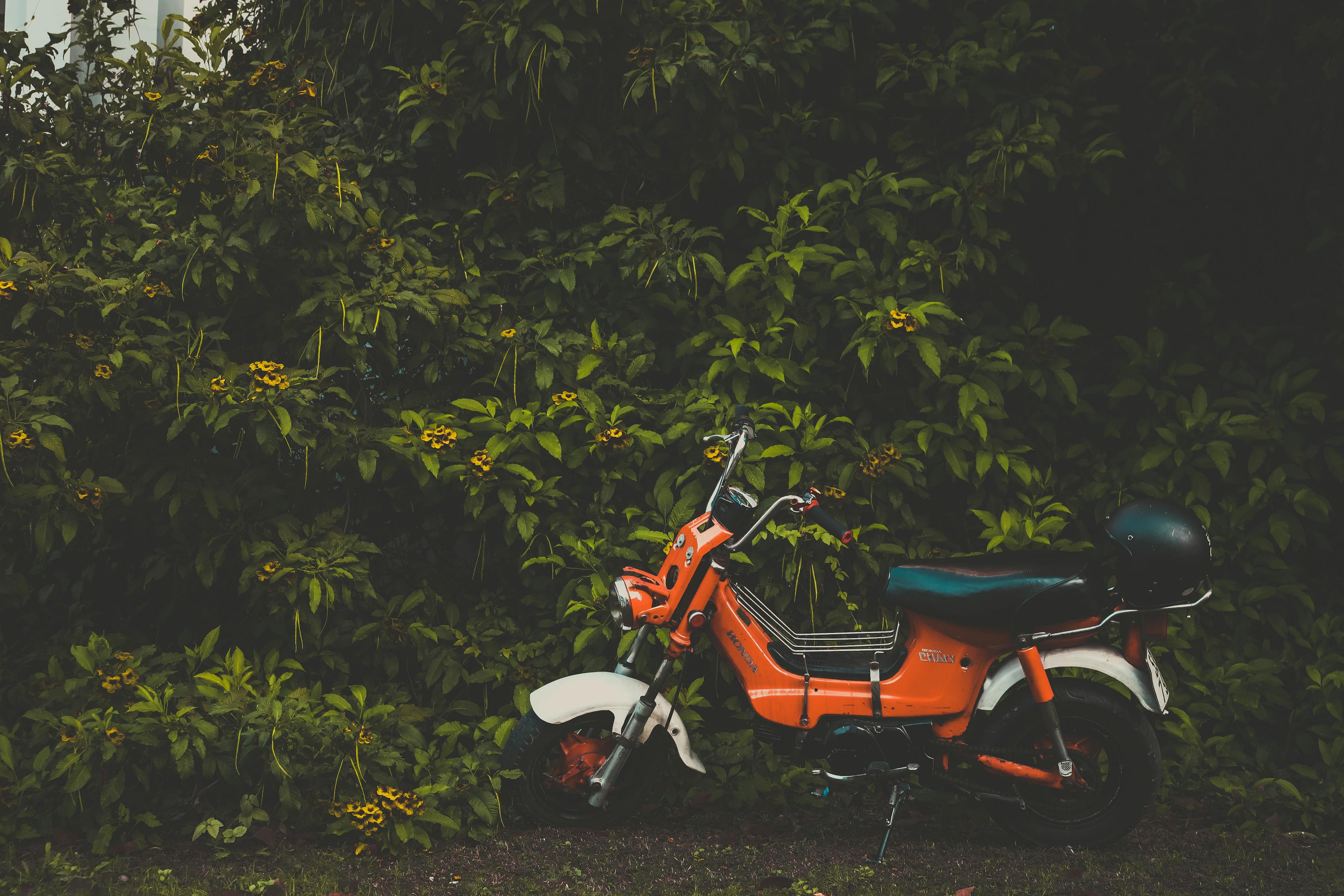 五羊本田鷙引領(lǐng)新時(shí)代摩托車技術(shù)革新，最新消息揭秘