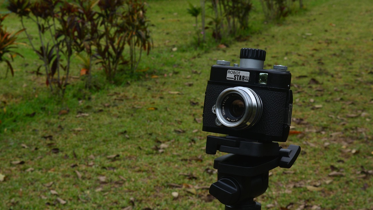 孔令輝與馬蘇的最新動態(tài)，體育界耀眼明星的近況揭秘