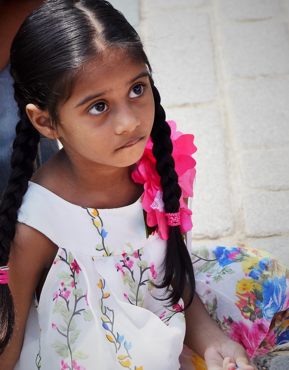 張佳寧最新力作電視劇，品質(zhì)與魅力的完美融合