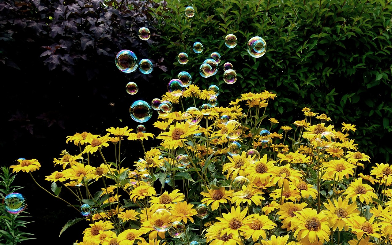 中石油鄭明禹最新消息綜述，動態(tài)與解析