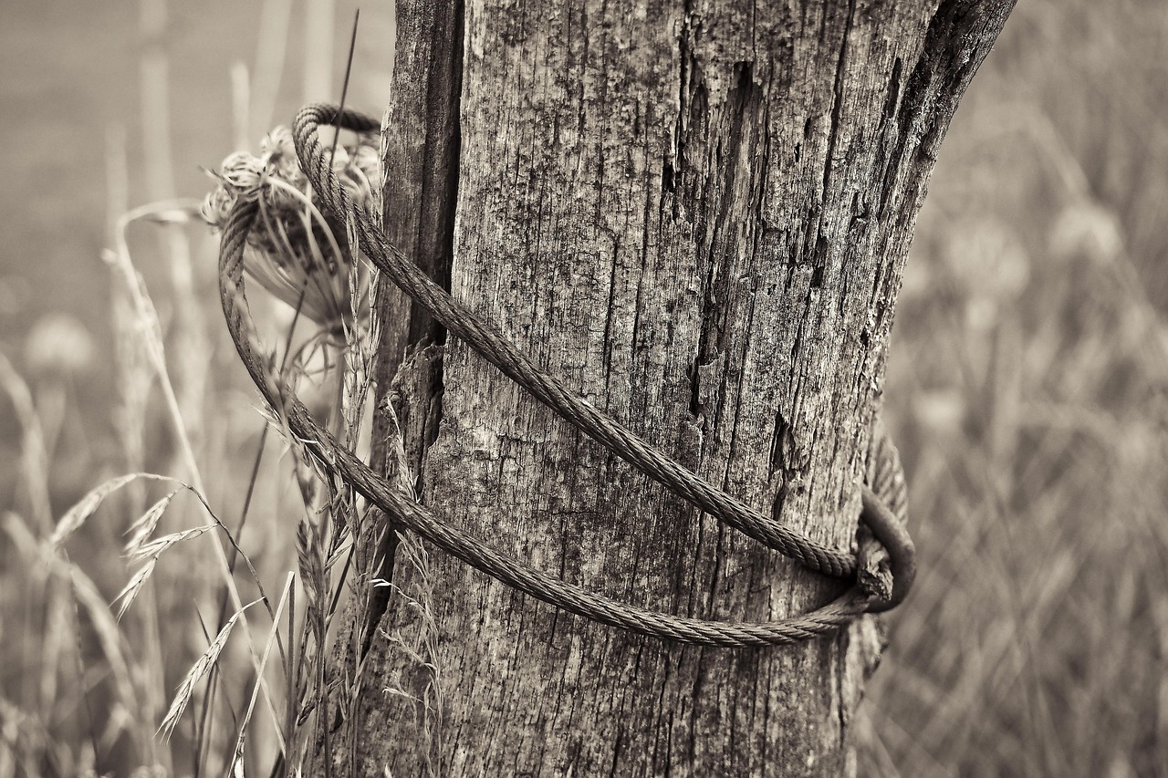 祁陽撤縣劃市最新動態(tài)，轉(zhuǎn)型發(fā)展開啟嶄新篇章