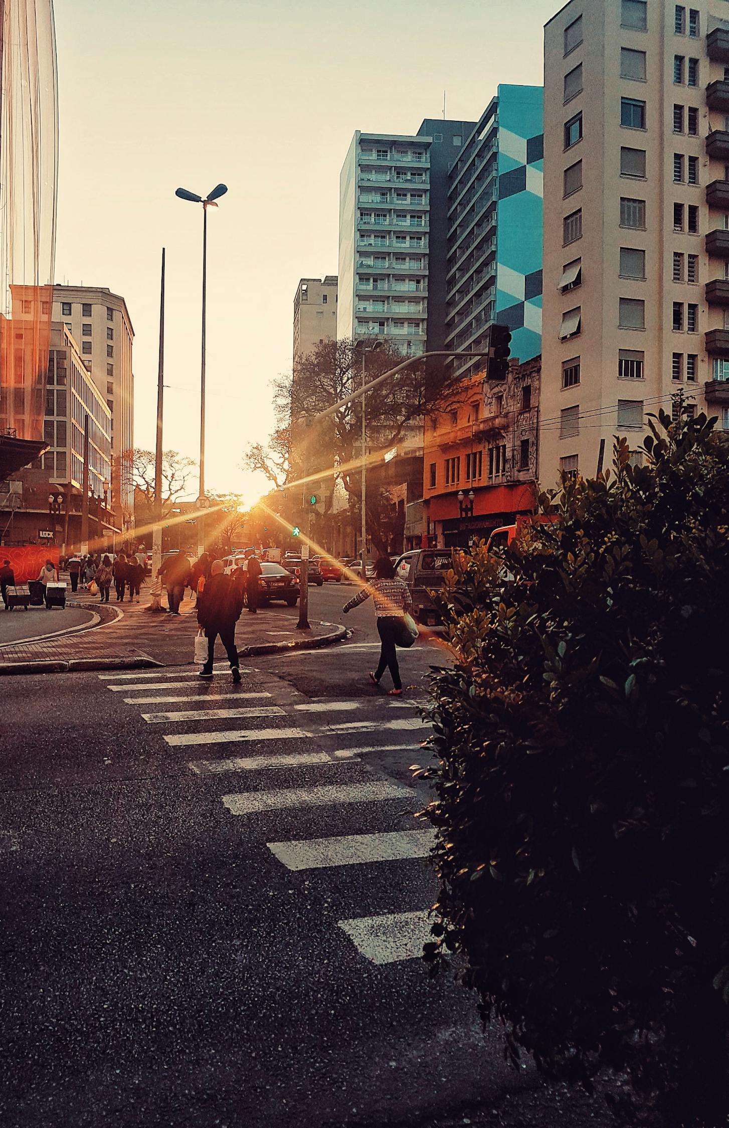 漯河市西城區(qū)繁榮崛起，城市新篇章揭秘發(fā)展動態(tài)