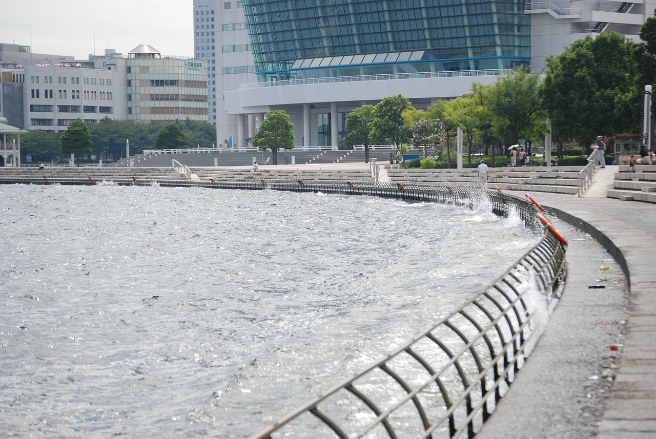 鄭州海昌海洋公園最新動態(tài)揭秘，揭開神秘面紗，展現海洋魅力奇觀