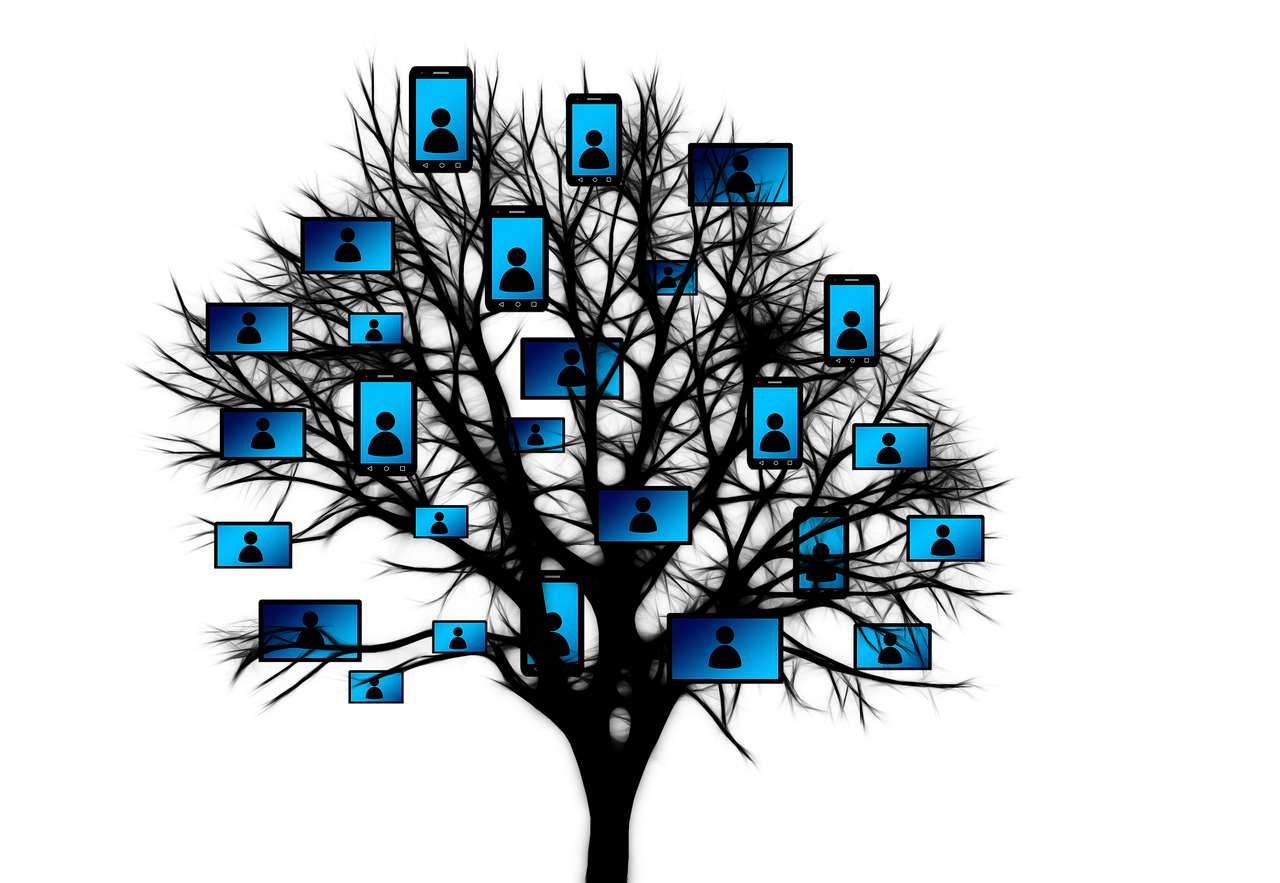 青海省招聘網最新招聘信息概覽及動態(tài)更新通知