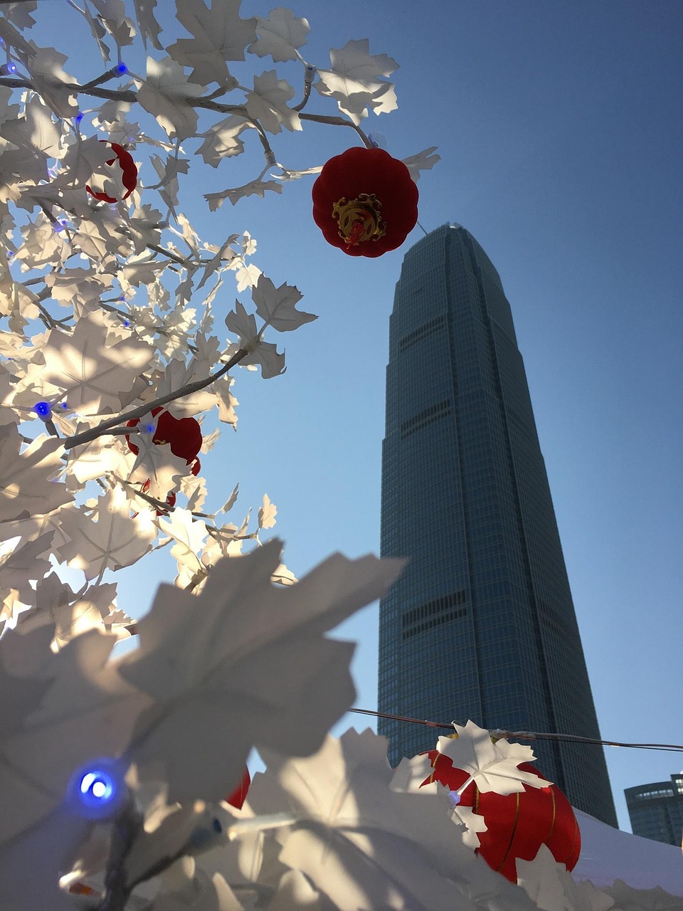 漫漫長夜新版本砍樹探索，全新體驗(yàn)之旅