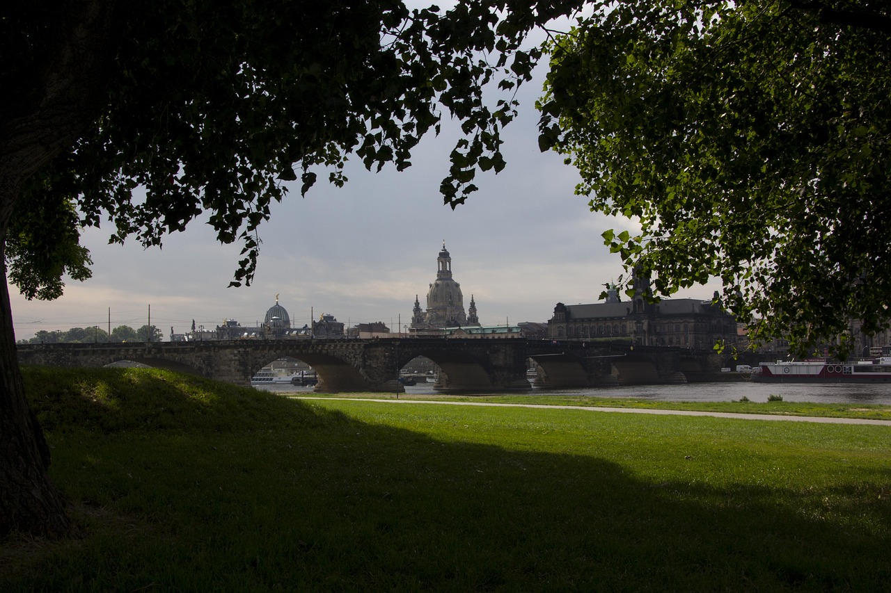 成華圣燈公園最新進展，城市綠色心臟蓬勃生長