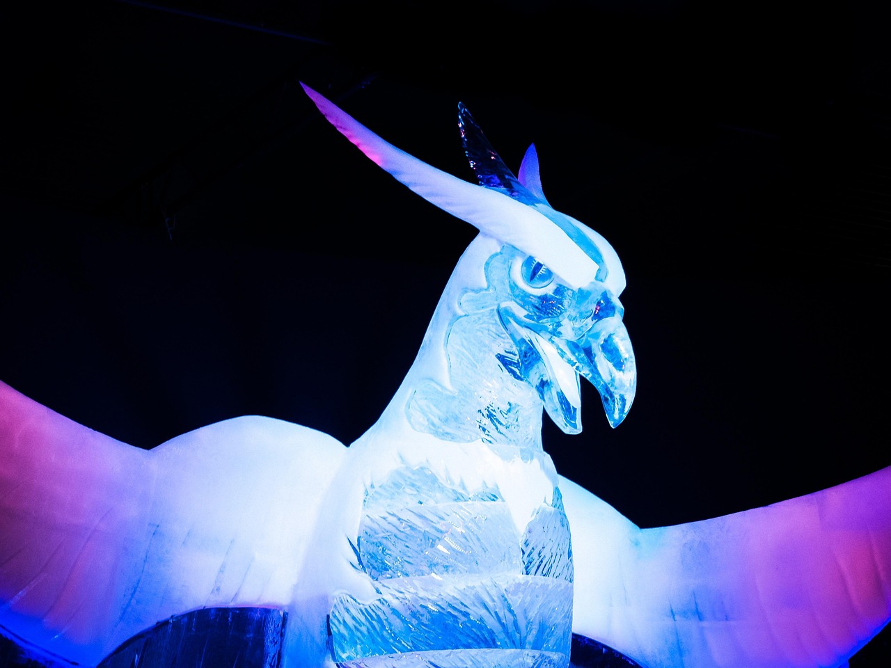 內(nèi)蒙古王東偉最新動(dòng)態(tài)，揭開神秘面紗，展現(xiàn)新時(shí)代風(fēng)采