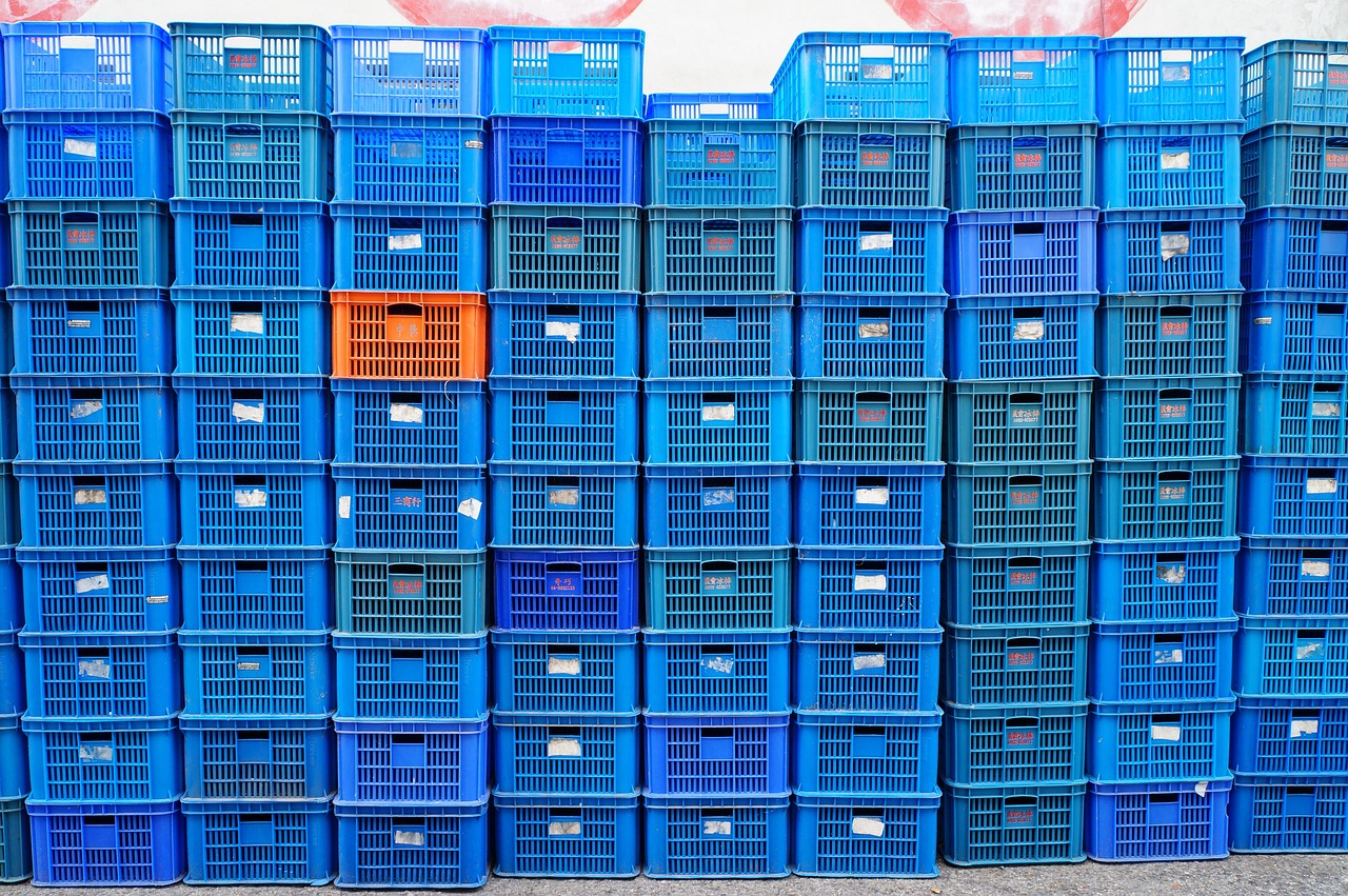 平頂山單知偉，城市發(fā)展的見證者與創(chuàng)新引領(lǐng)者的最新動態(tài)