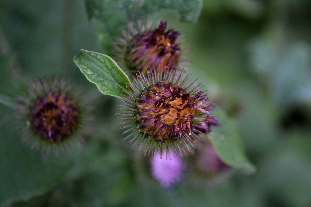 蕪湖市三山區(qū)最新招聘信息概覽，最新職位與招聘動態(tài)全解析