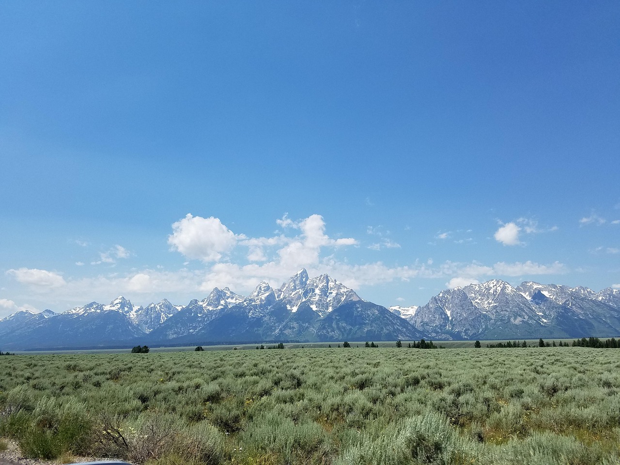 崀山犬木塘庫(kù)最新動(dòng)態(tài)，揭開(kāi)神秘面紗下的壯麗景象揭秘