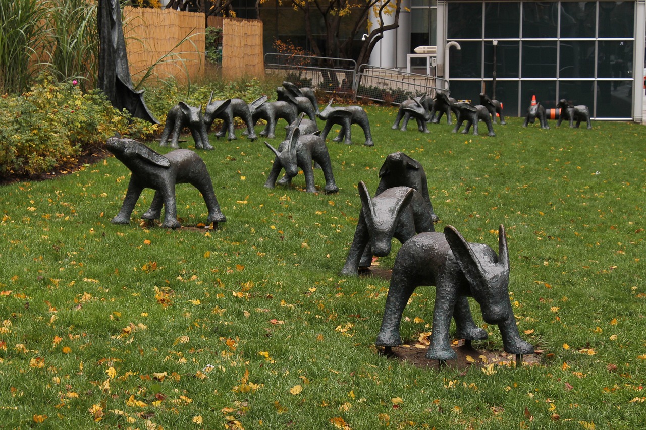 安湯一體化最新動態(tài)，引領(lǐng)城市發(fā)展的新浪潮