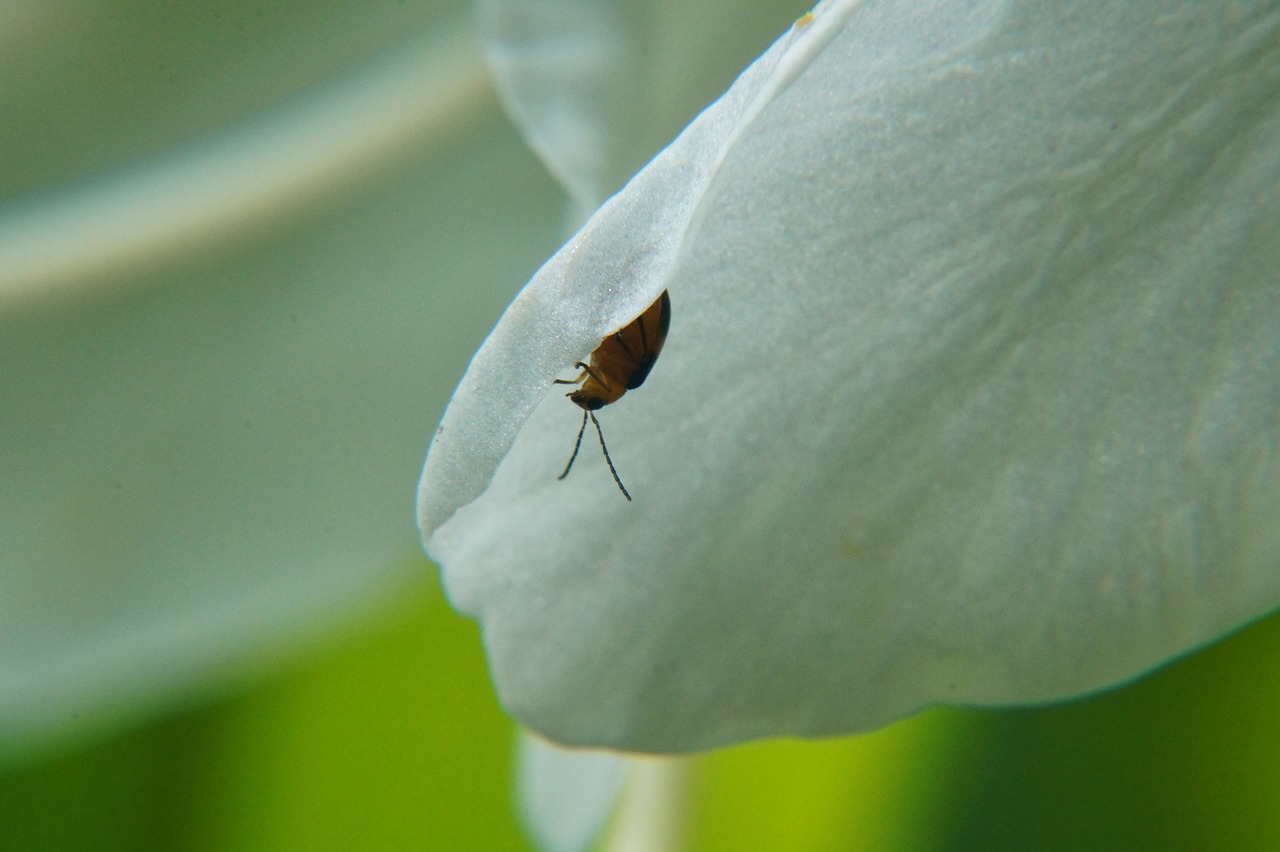 濟(jì)南地鐵R2線最新進(jìn)展報(bào)告更新，最新動(dòng)態(tài)揭秘！