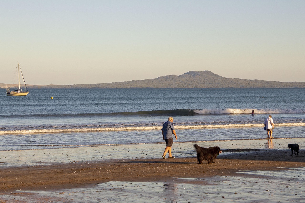 山西退休職工養(yǎng)老金調整最新動態(tài)，改革進展、未來展望與調整消息速遞