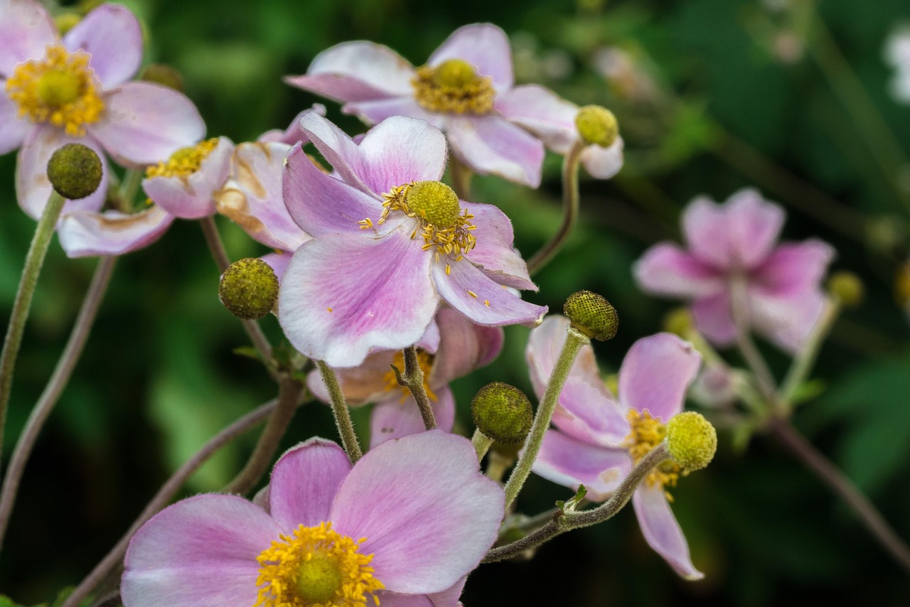 馬刺最新動(dòng)態(tài)，持續(xù)進(jìn)化，蓄勢(shì)待發(fā)啟航新征程