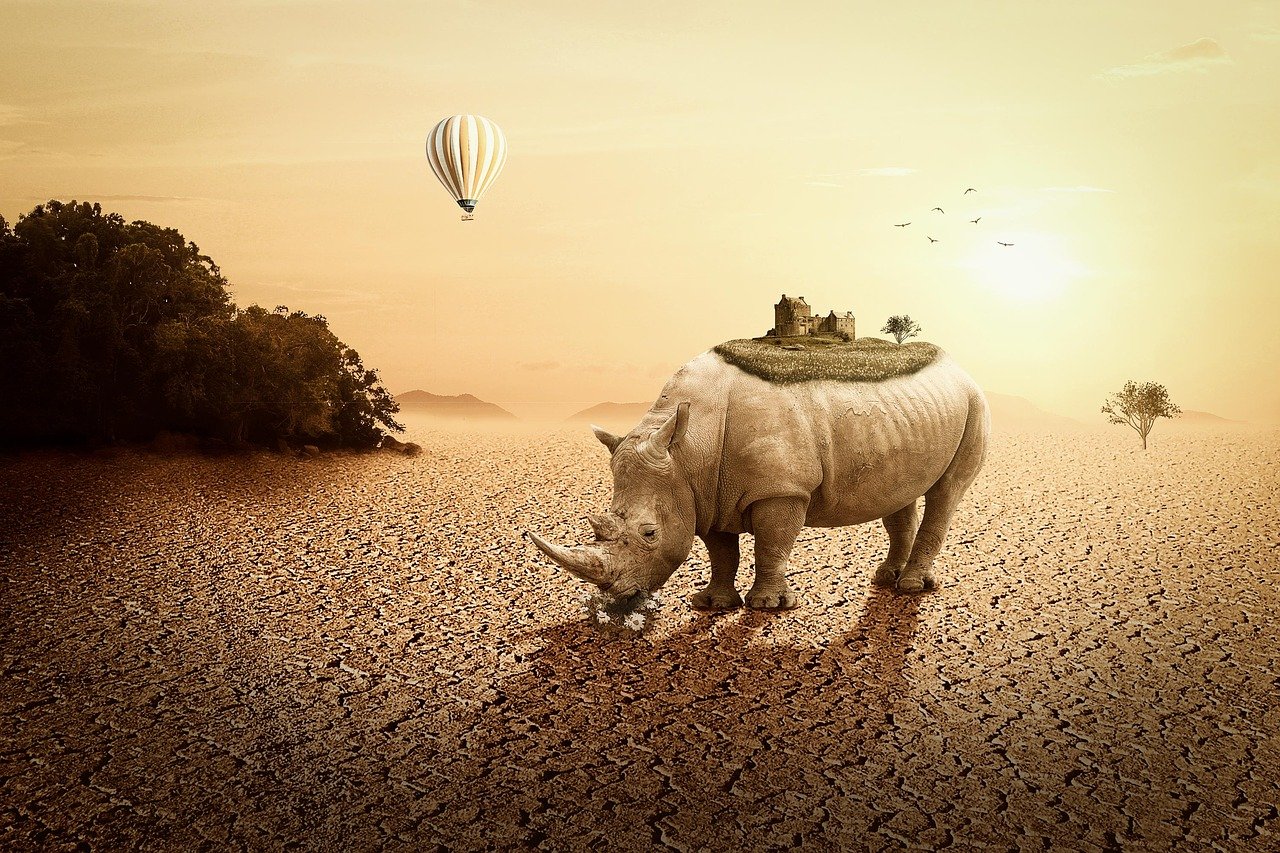 高陽最新樓盤信息全面解析，最新房源、動態(tài)及優(yōu)惠一網(wǎng)打盡！