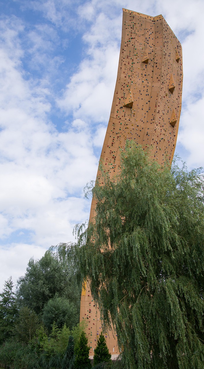 Anjelica的最新動(dòng)態(tài)與成就概覽