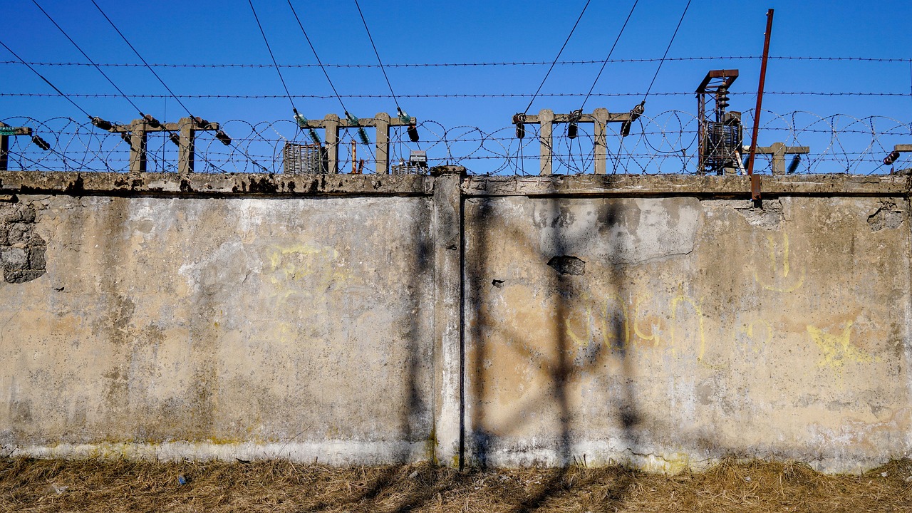 創(chuàng)新科技引領(lǐng)奶粉行業(yè)變革的最新動態(tài)