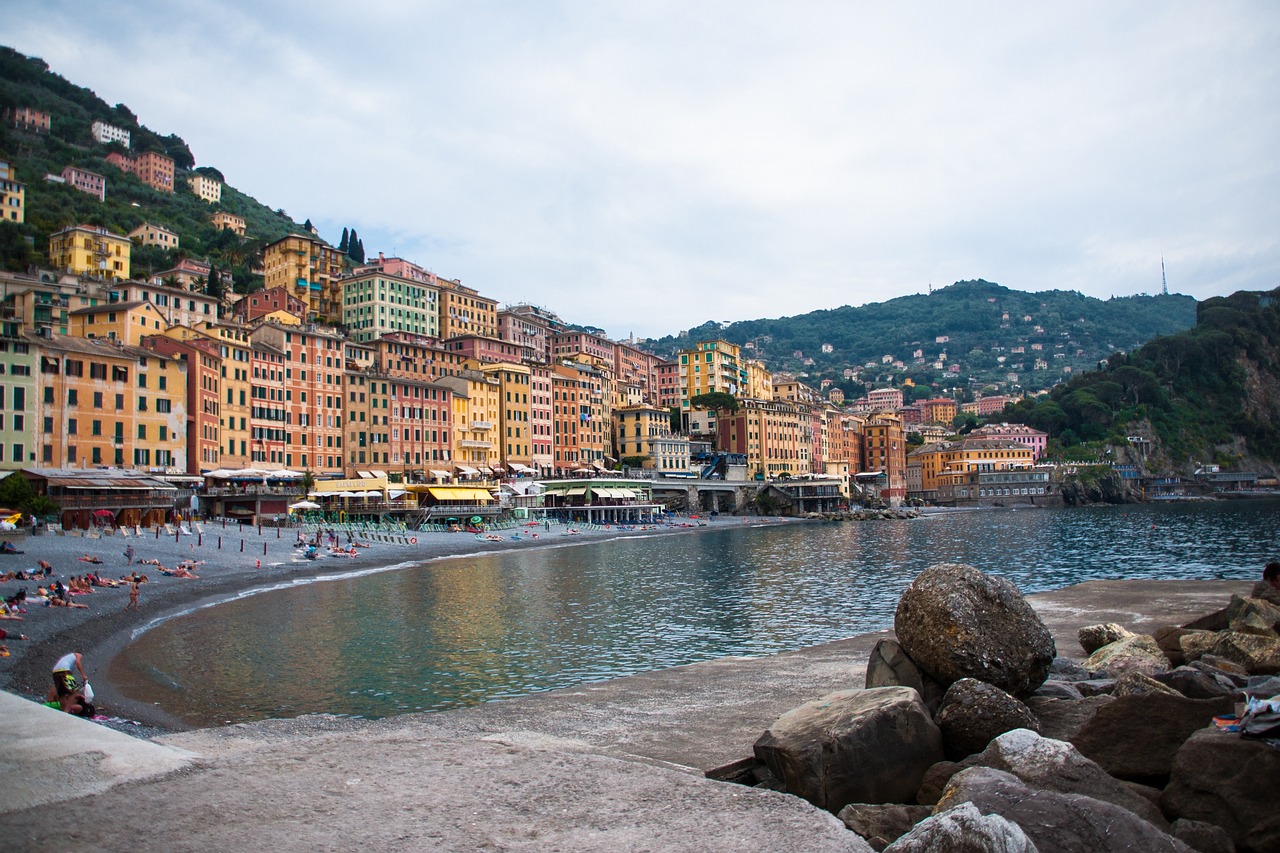 最新佛手價格及動態(tài)分析概況