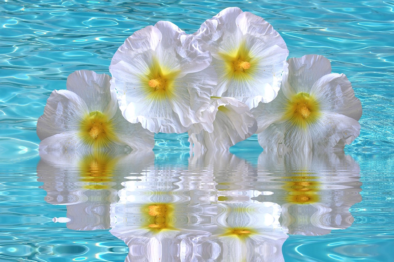 加勒比海域動(dòng)態(tài)更新，海盜活動(dòng)頻繁，警惕性需提升（最新報(bào)告 06月15日）