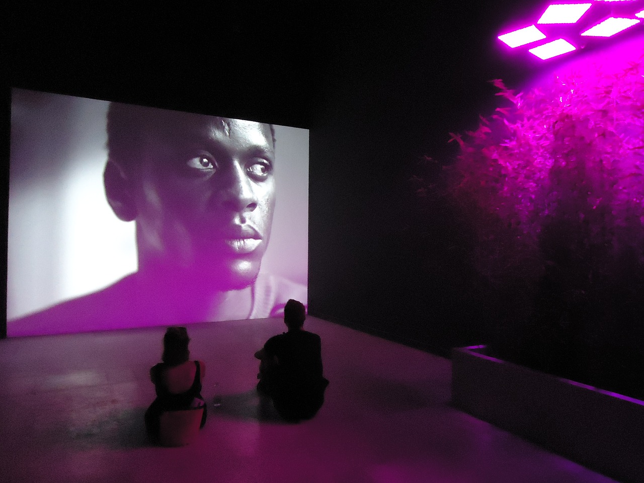 最新首映網(wǎng)，引領(lǐng)觀影潮流，打造電影愛好者首選平臺(tái)