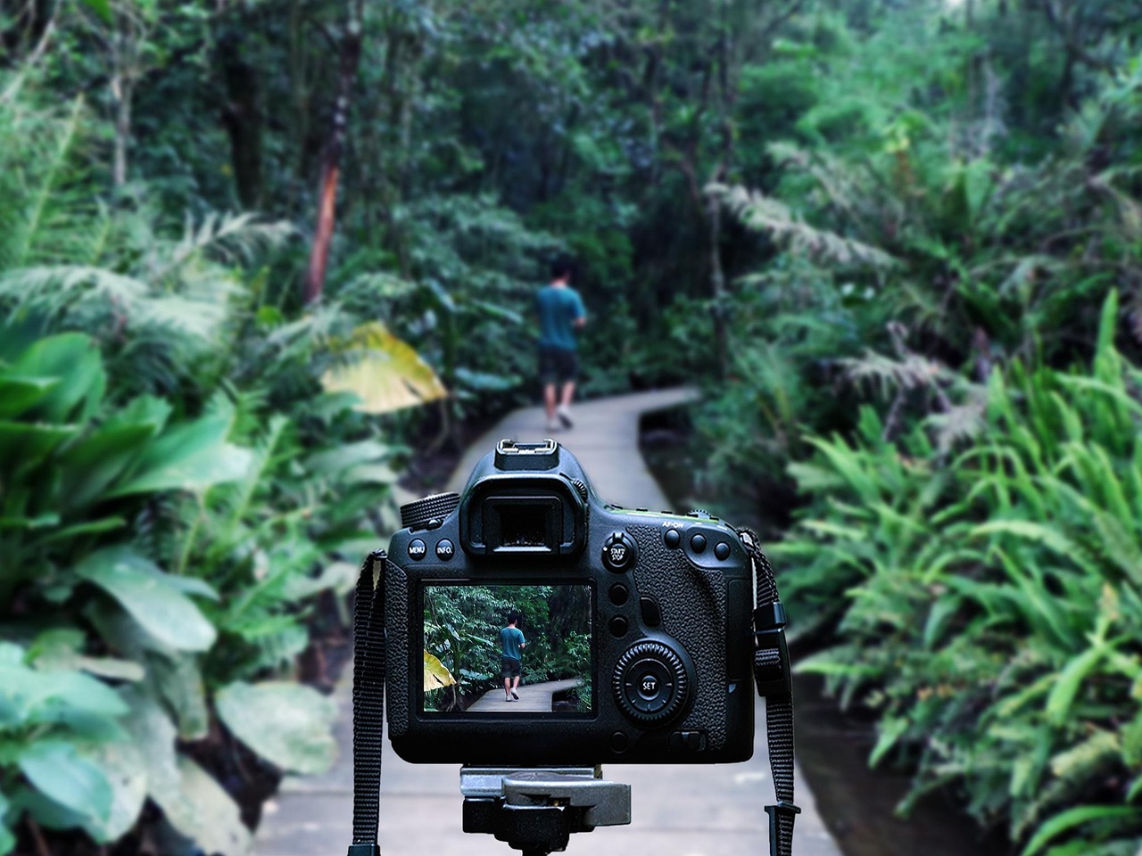 華晨宇最新動態(tài)，音樂之旅開啟新篇章
