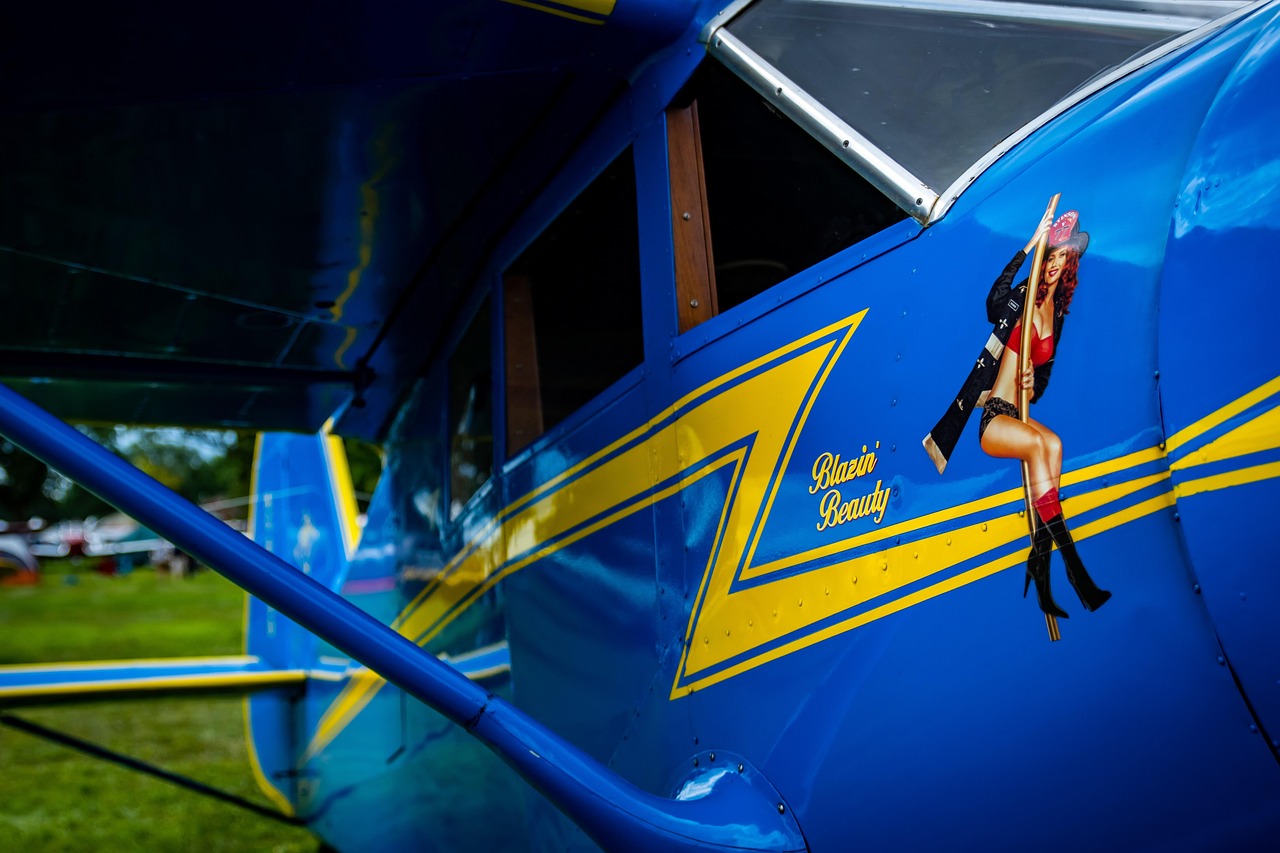 革新觀影體驗，最新視頻app帶你飛！